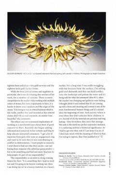 6-ornament_pg6